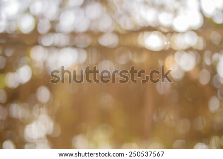 Abstract blur background, blur background,blur, light bokeh