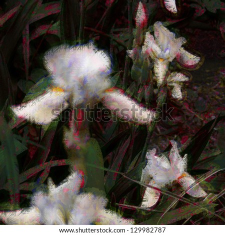art floral colorful pastel background with white irises and green grass on dark purple basis