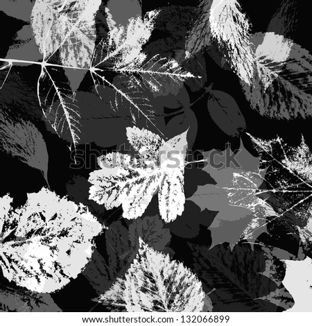 art graphic leaves autumn monochrome background in black and white colors