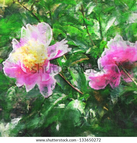 art floral peony colorful pastel background