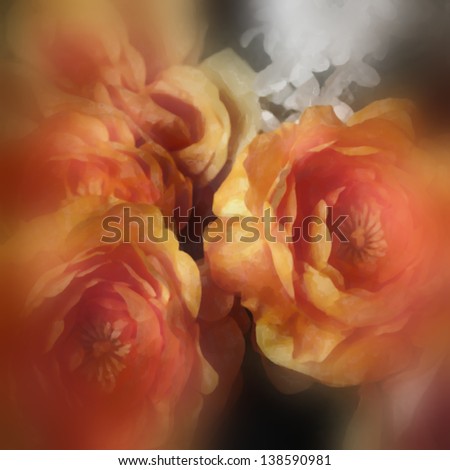 art floral watercolor background with white and orange roses in blur