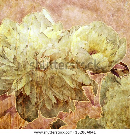 art grunge floral vintage background with white peonies on light pink