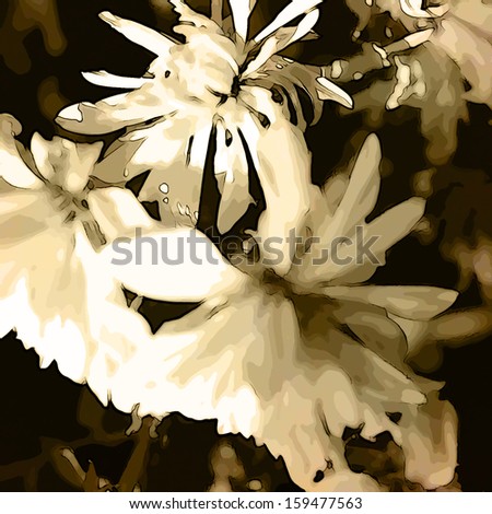 art blurred floral vintage monochrome sepia background with white asters