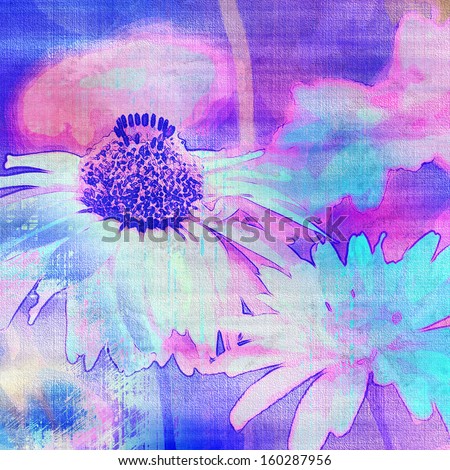 art floral vintage violet, blue and pink background with white asters