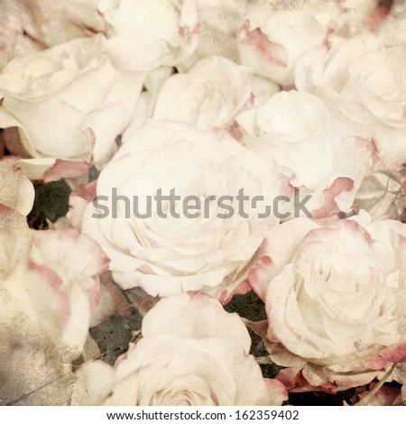 art floral vintage sepia background with white roses