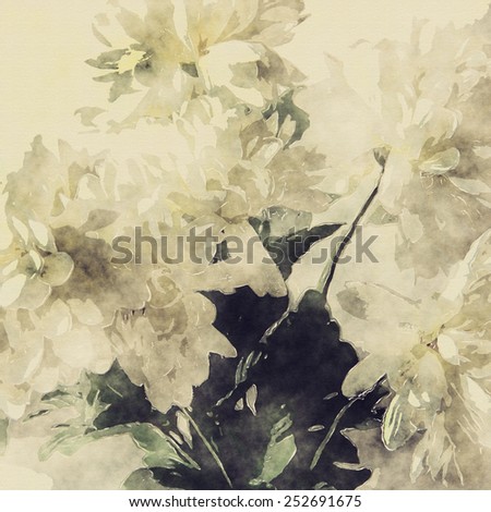 art grunge floral monochrome warm sepia vintage paper textured background with white asters