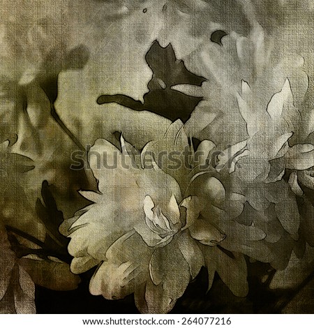 art monochrome grunge floral watercolor paper textured background with white asters  in  white, grey and black colors