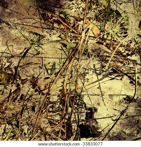 art grunge autumn background with dry grass and leaves on land
