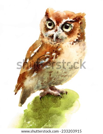 Watercolor Owl Bird Hand Painted Illustration on white background