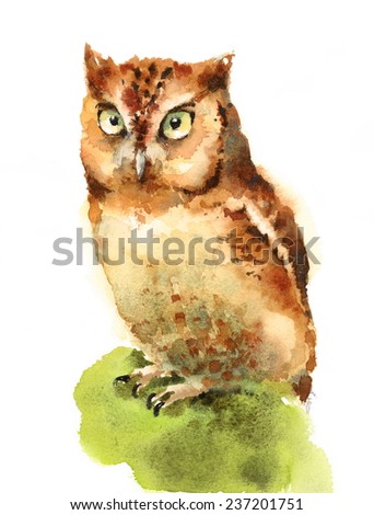 Owl Bird Watercolor hand painted Illustration on white background