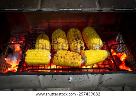 grilled corns (corn, cob) with red charcoal