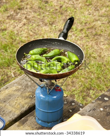 Green Basque Country pepper fried at picnic