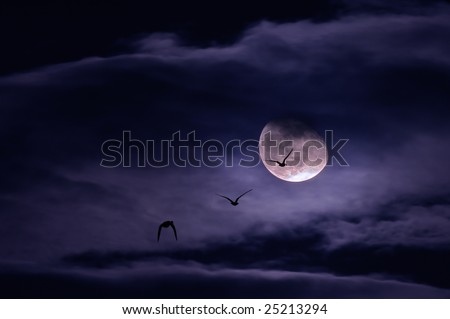 moon covered by clouds with birds flying