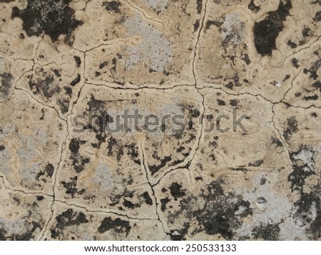 abstract image of a wall plastered wet cement