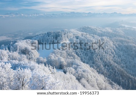Wonderful winter day with trees covered with white frost. View from Uetliberg, Zurich, Switzerland