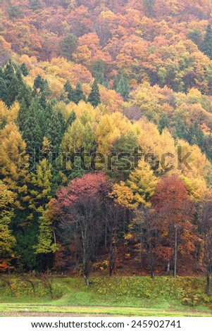 Browned autumn of Lake Nakatsuna lakeside, Nagano, Japan