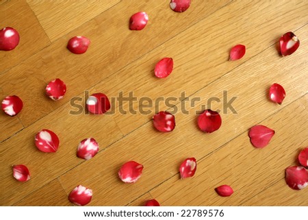 a background image of rose petals on the floor