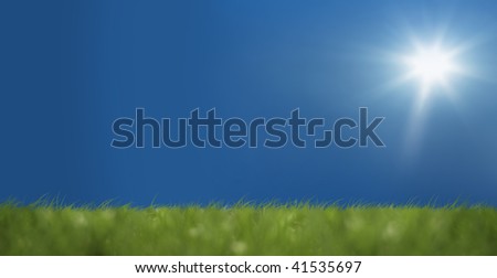 an image of peacefull blue sky and grass