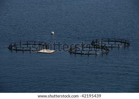 an image of fish farm and industry concept
