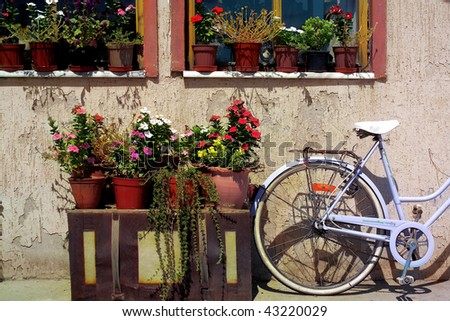 an image of parked bicycle front of window