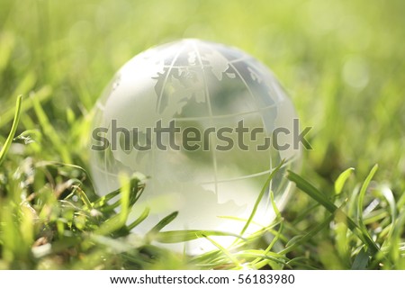 conceptual image of a globe on grass