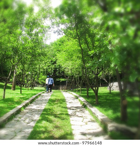 an image of people walking in nature