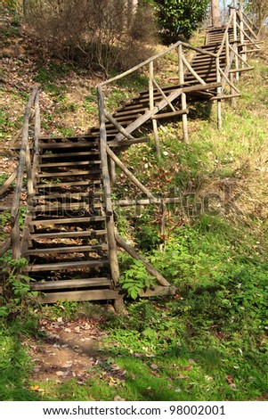fall time in forest and wooden stairs