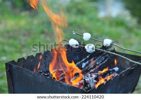 Roasting marshmallows on wooden stick over a campfire in the evening