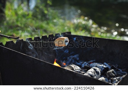 Roasting marshmallows on wooden stick over a campfire