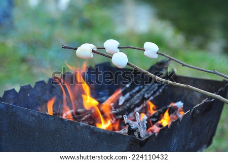 Roasting marshmallows on wooden stick over a campfire in the evening
