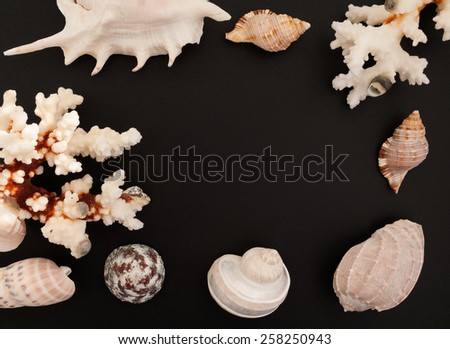 Sea shells and corals frame on on a black background with free space for text. Top view