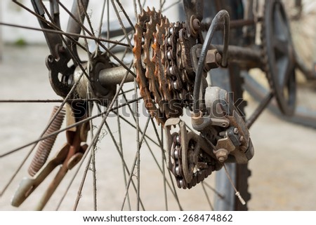 Mountain bike rust rear gearwheel detail. Parts of the bike.