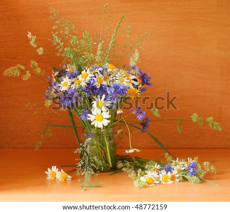 Beautiful bouquet of wild flowers