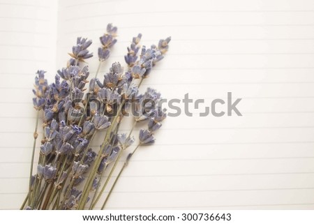 lavender and notebook
