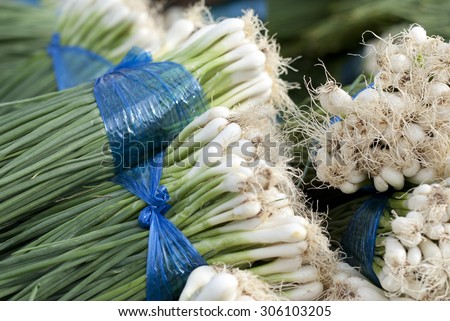Bundles of Spring Onions sold in a local market in Bangkok, Thailand