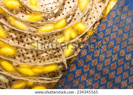silk worm : cocoon silkworm many silk and product