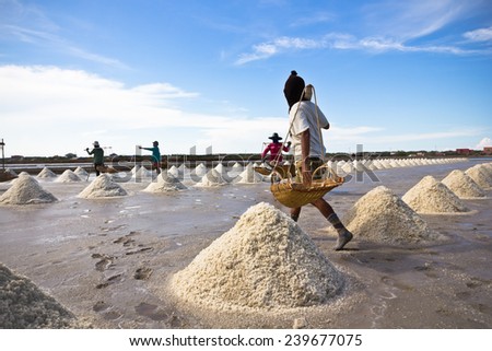 salt : sea salt fields in thailand