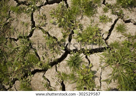Global Warming - Dry Mud Surface