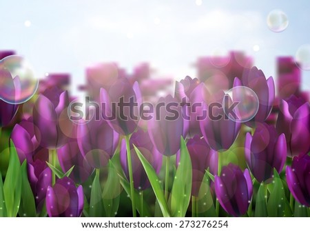 Purple Colored tulips flowers in the garden. vector illustration