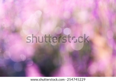 bokeh blurry natural abstract violate background