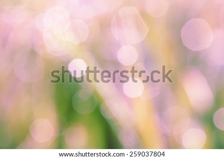 okeh blurry natural abstract violate background