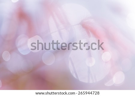 bokeh blurry natural violate grass floral abstract green background