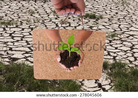 Green returns to nature,people, ecology, biology and environment concept,hand holding board and green tree