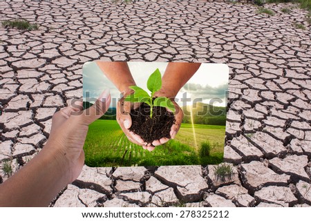 Green returns to nature,people, ecology, biology and environment concept,hand holding board green cornfield on cracked ground from rainless
