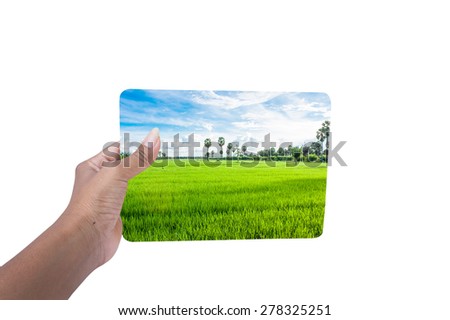 Green returns to nature,people, ecology, biology and environment concept,hand holding board green cornfield