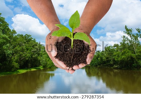 concept save the world ,hand man holding tree on Green forests and canals