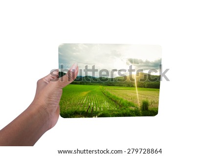 hand holding board environment concept ,save the world - woman hand holding Green fields view natural
