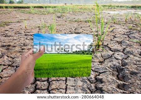 Green returns to nature, environment concept,hand holding board green cornfield on cracked ground from rainless