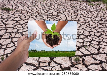 hand holding board environment concept ,save the world - man hand holding green tree on wind turbine background