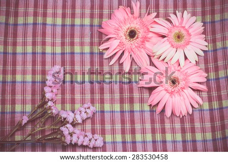vintage of pink gerbera flower on violate cloth